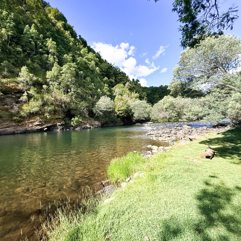 Fundo San Andrés, Natural Forest and Investment Potential in Southern Chile