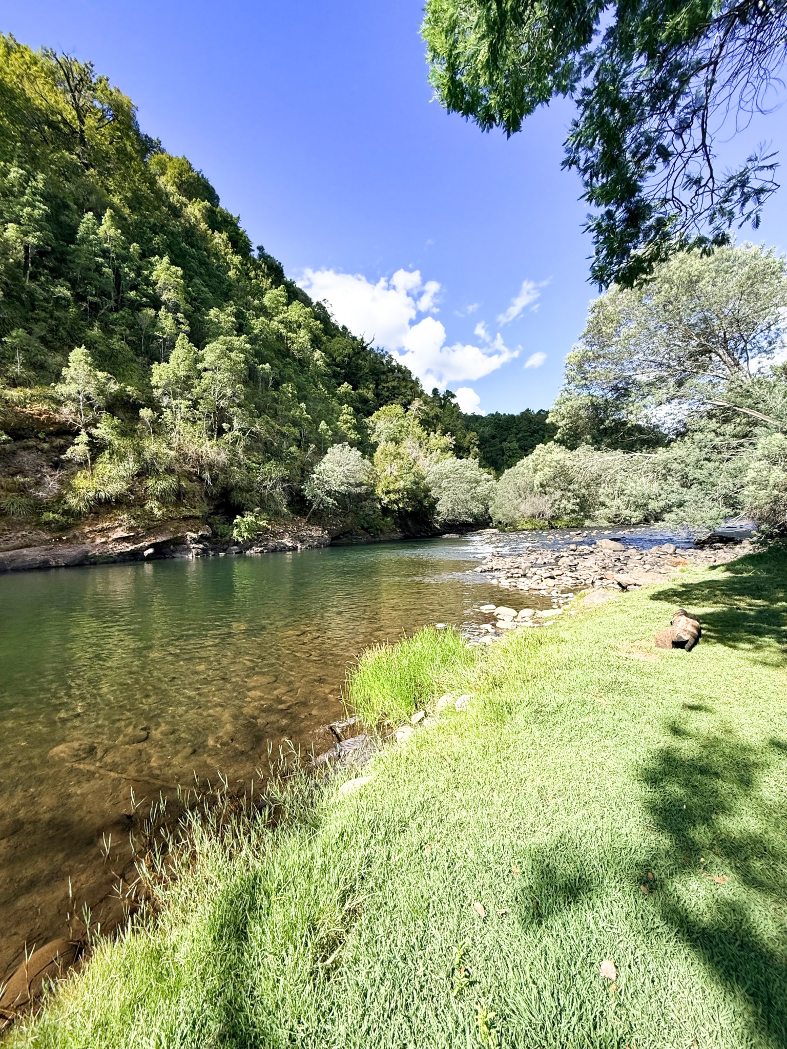 Fundo San Andrés, Natural Forest and Investment Potential in Southern Chile