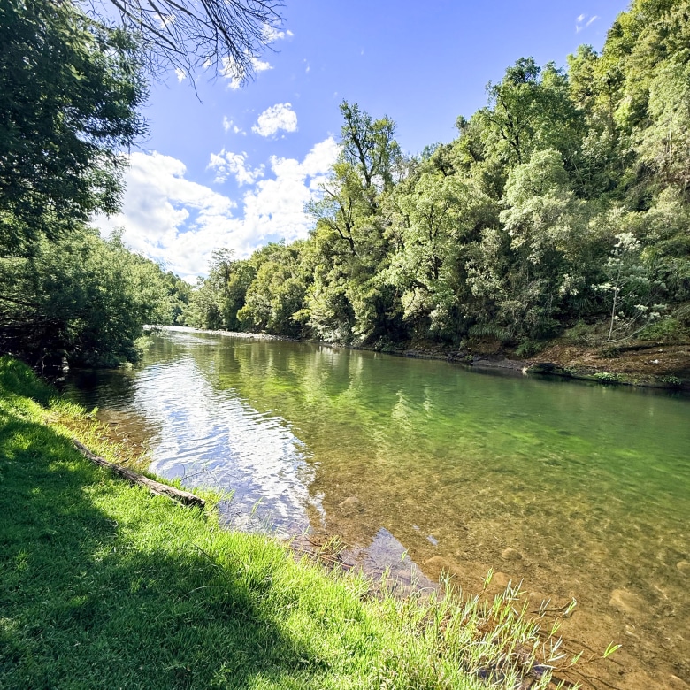 Fundo San Andrés, Natural Forest and Investment Potential in Southern Chile