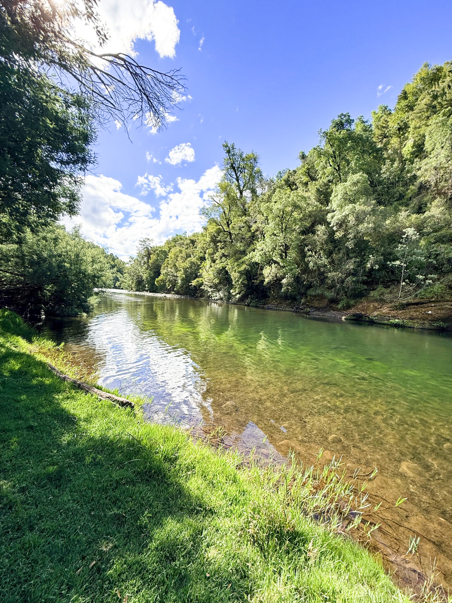 Fundo San Andrés, Natural Forest and Investment Potential in Southern Chile