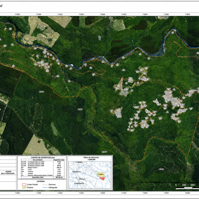 Fundo San Andrés, Natural Forest and Investment Potential in Southern Chile