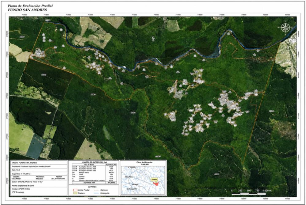 Fundo San Andrés, Natural Forest and Investment Potential in Southern Chile